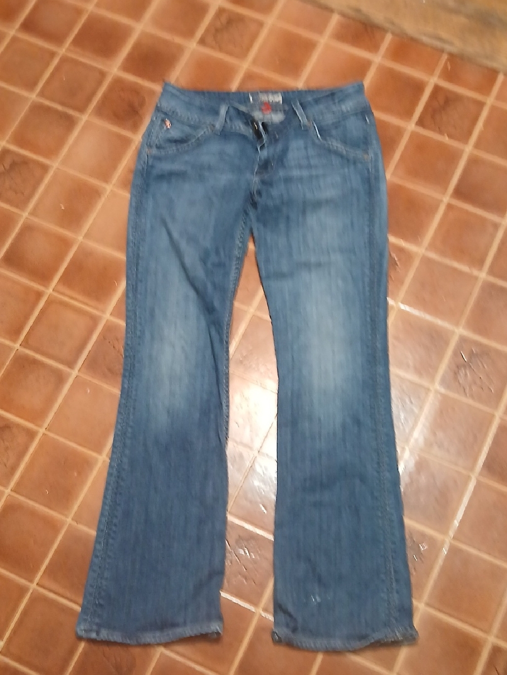 Vintage Hudson Flare Jeams